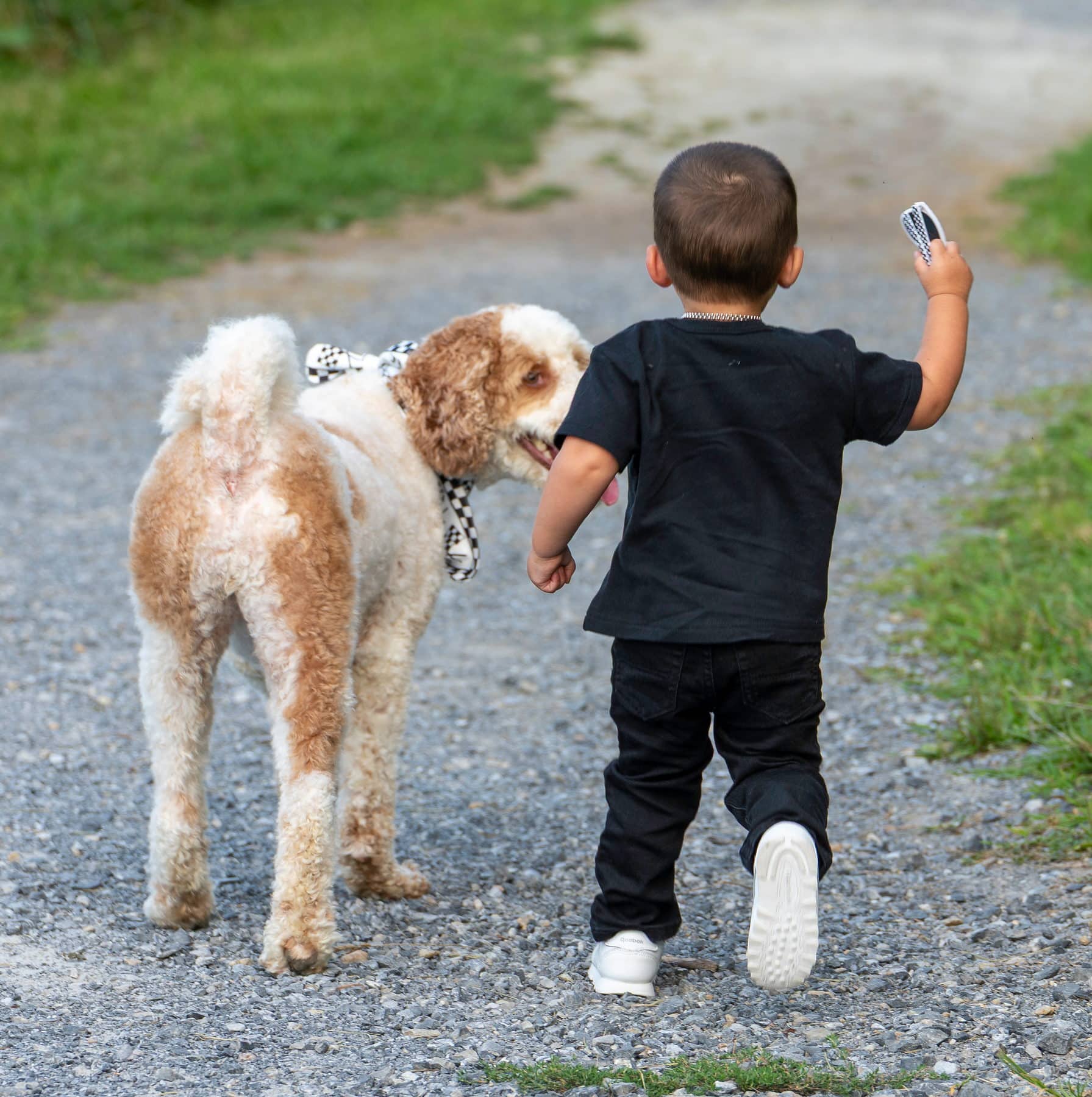 A toddler walking away down a driveway beside the family dog