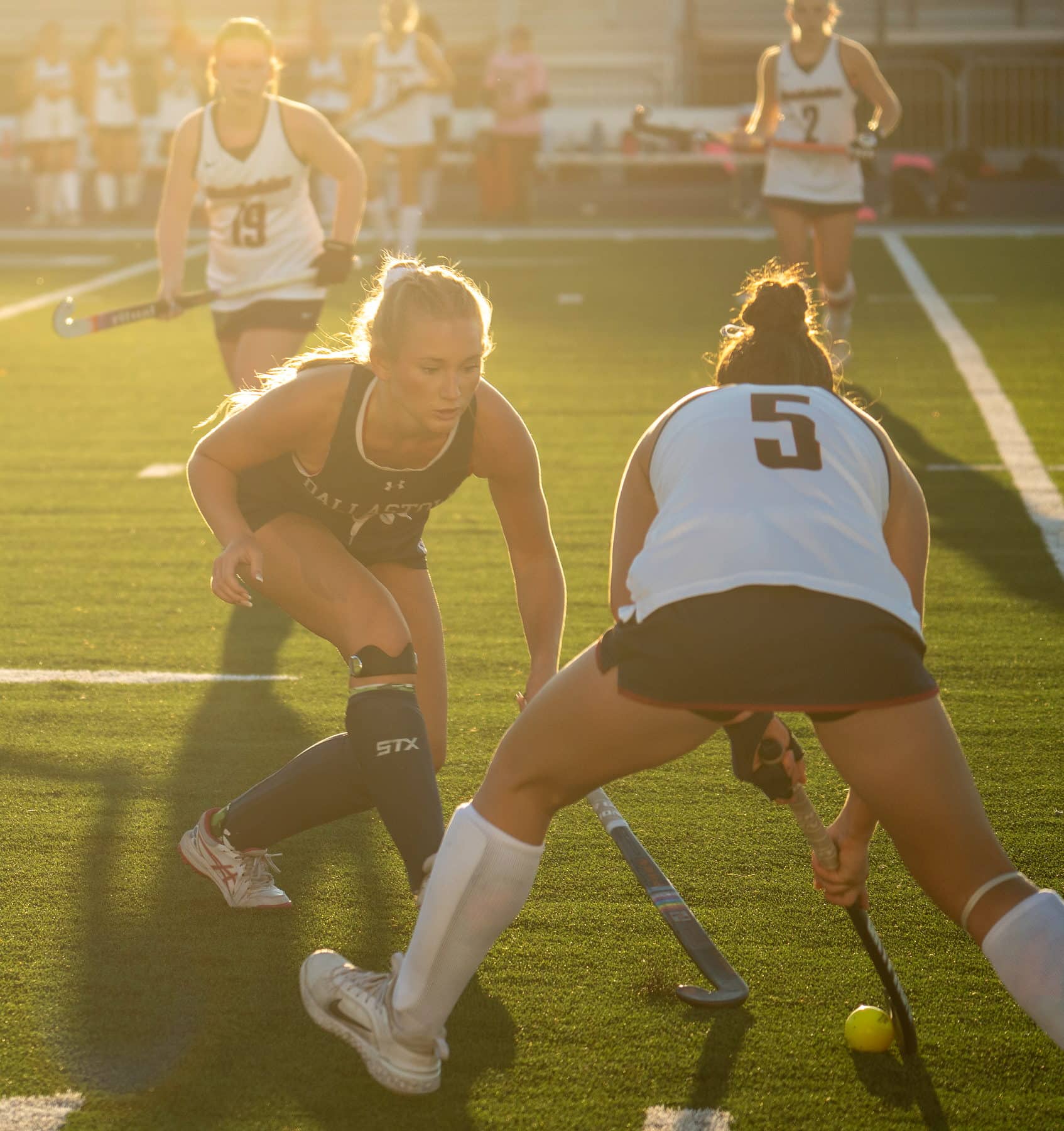 Field hockey players challenging for the ball in golden hour light