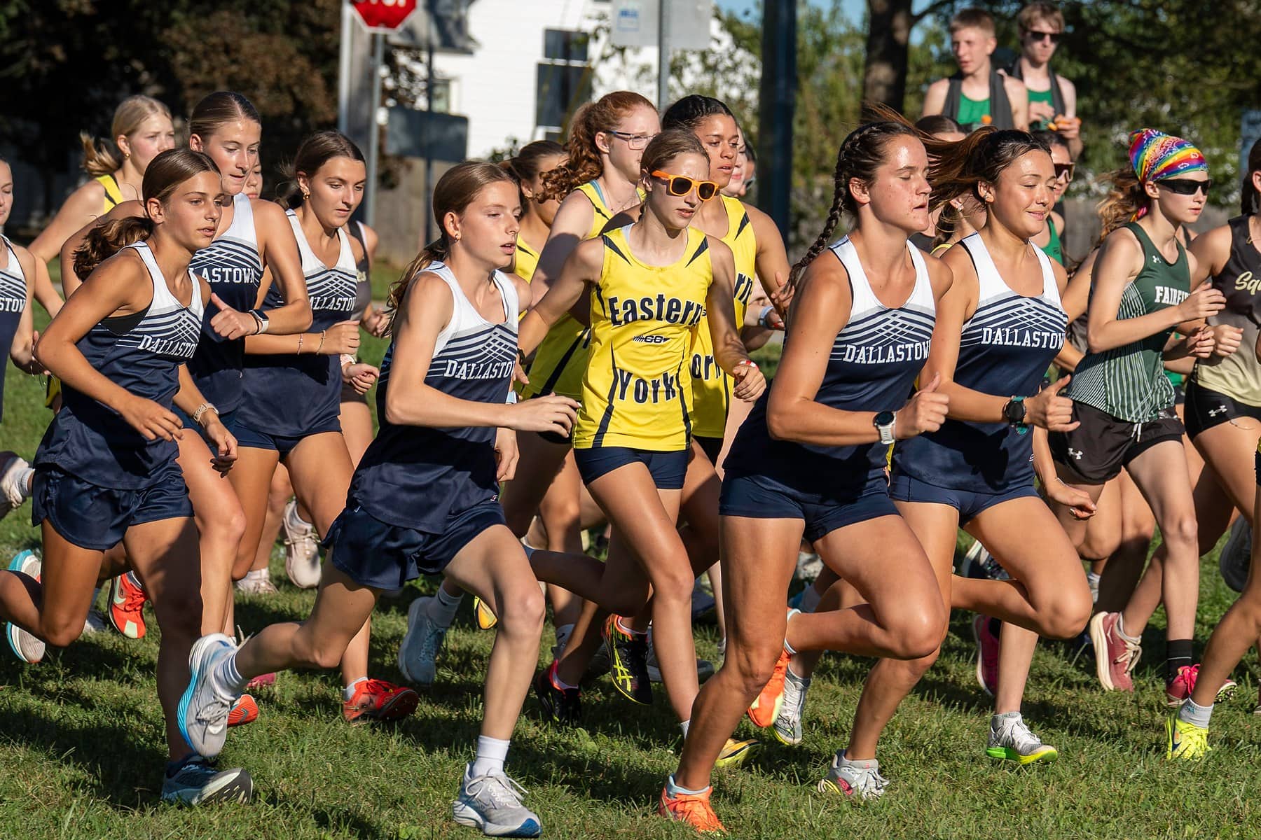 A pack of girls cross country runners surging away from the start line