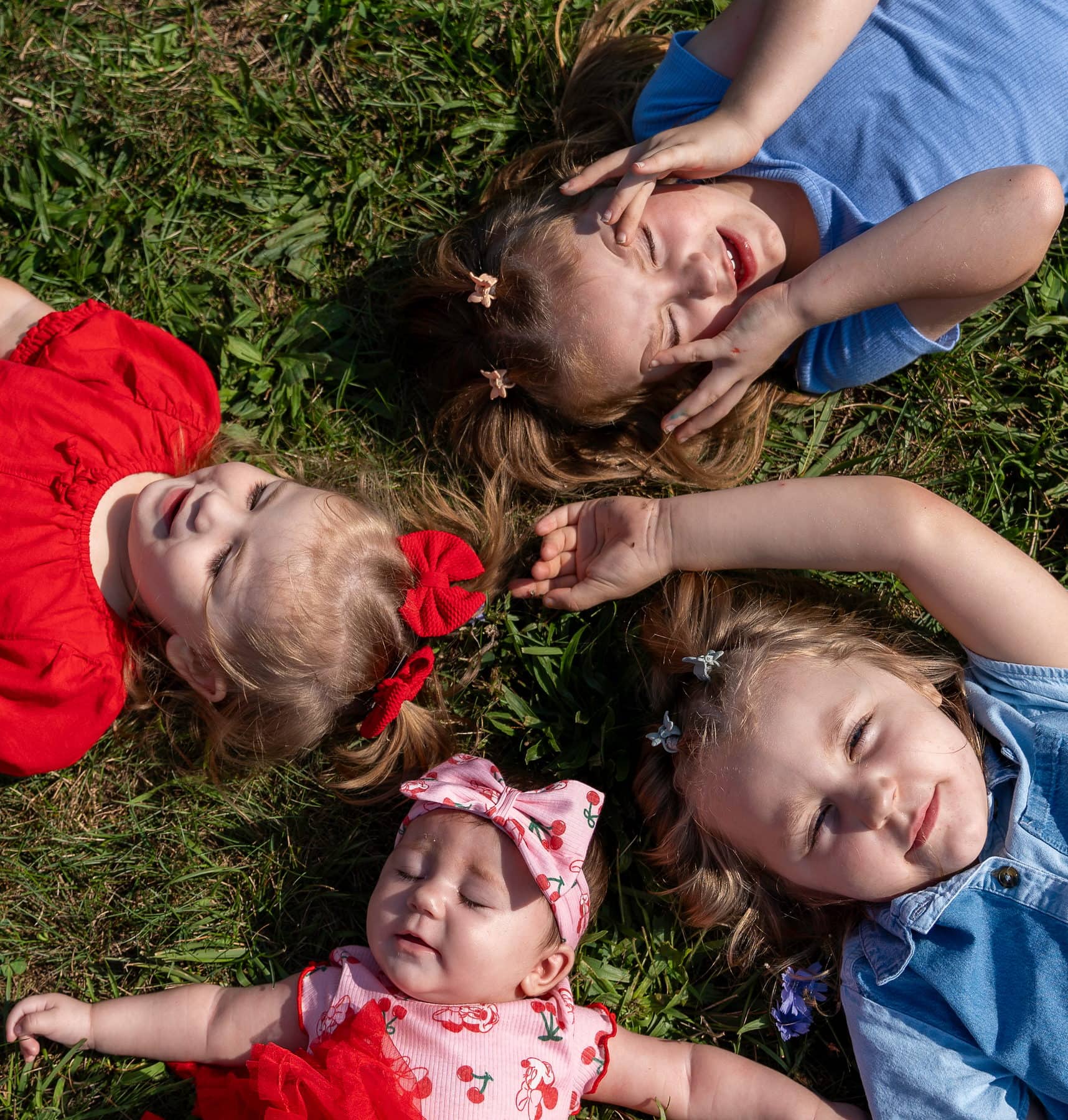 Four siblings lying in the grass photographed from above